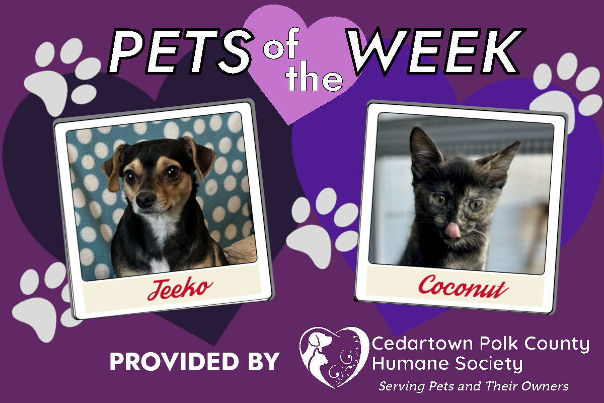 Humane Society Pets of the Week – May 3, 2025